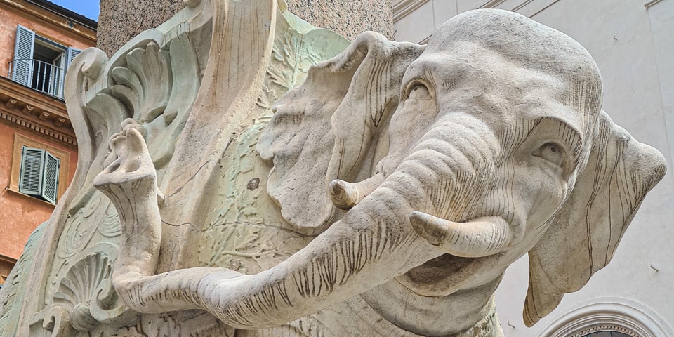 Primer plano de la cabeza y los colmillos del elefante de Bernini en Piazza della Minerva