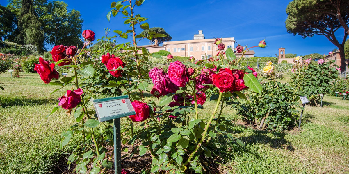 Jardín de Rosas en Roma