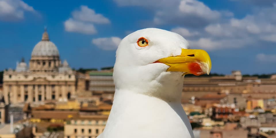 Qué ver en Roma