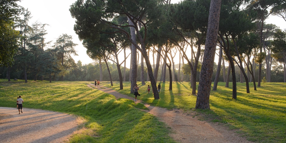 Corredores atravesando un prado bajo pinos piñoneros al atardecer en Villa Doria Pamphilj en julio