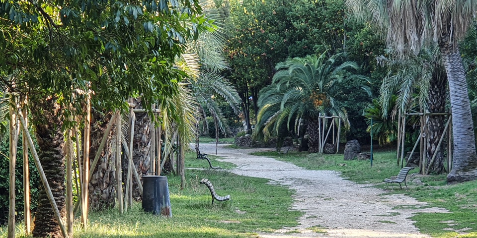 Sendero sombreado con palmeras y bancos en Villa Sciarra